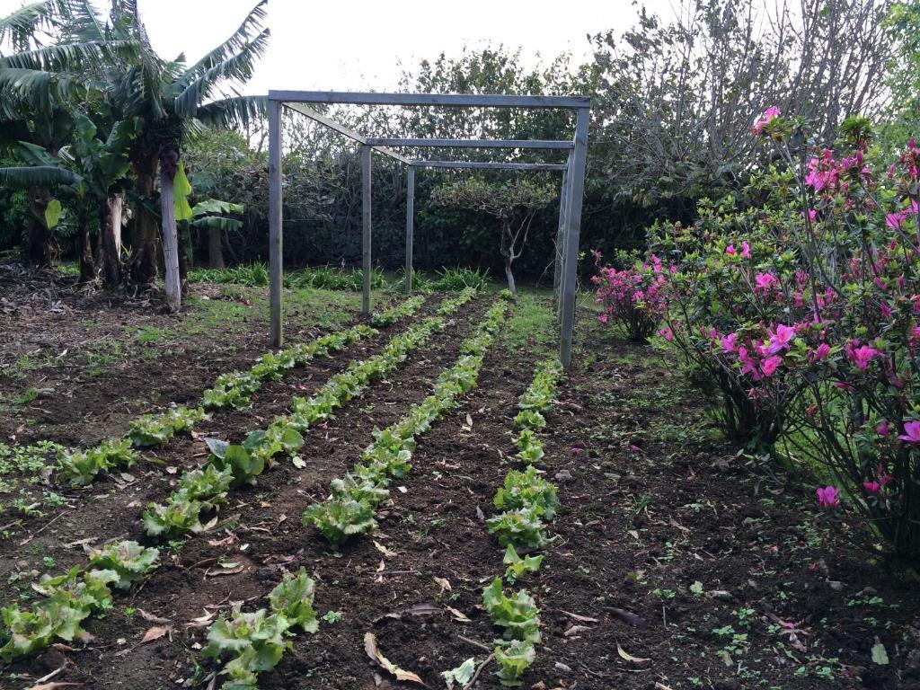 Willa Quinta De Santa Clara Ponta Delgada Zewnętrze zdjęcie